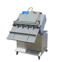 Máy đóng gói chân không hình khối DZQ-900 OT 