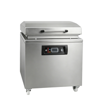 Máy hút chân không DZQ-700T 
