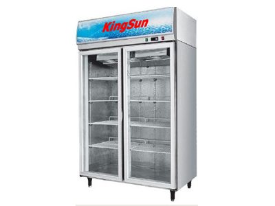 Tủ đông Kingsun KS-GCF-1966