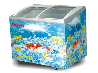 Tủ đông Kingsun KS-SD/C-305