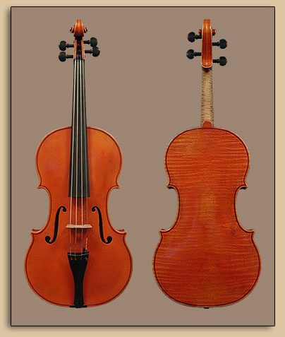 Dan Scottcao Viola STA017