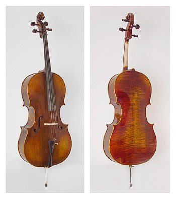 Scottcao Cello STC600