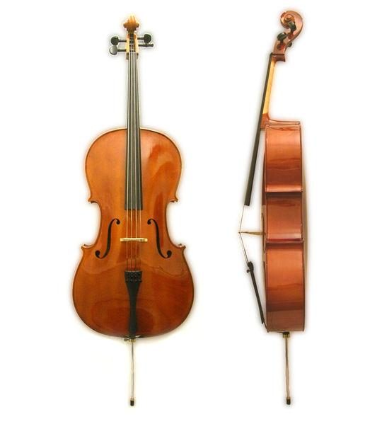 Dan Scottcao Cello STC017