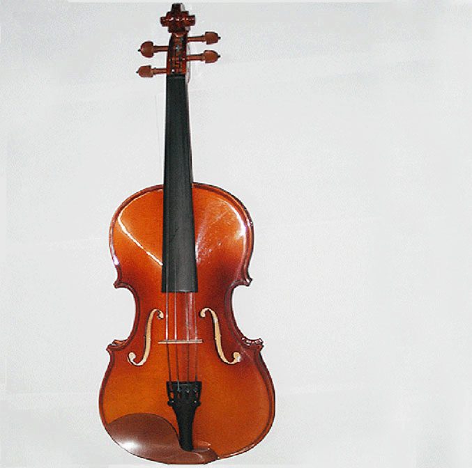 Đàn Violin Harper AGW 208-3/4