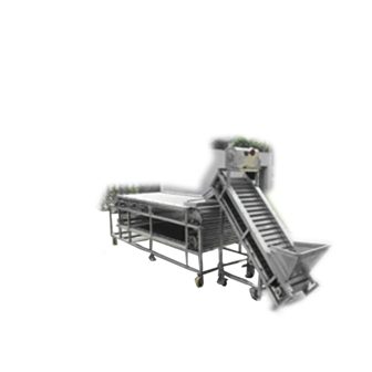 MÁY PHÂN LOẠI DƯA CHUỘT KÈM GẦU TẢI