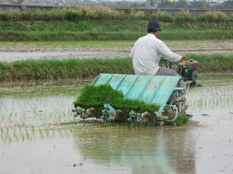 Máy cấy lúa 2ZS-4