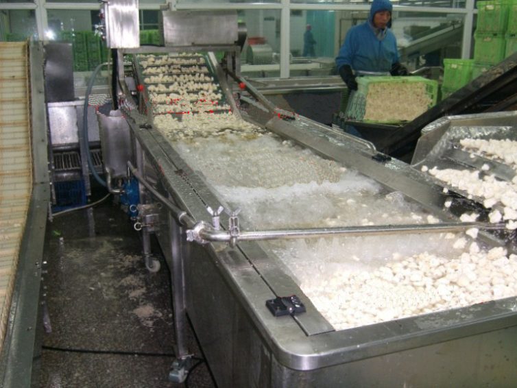THIẾT BỊ SỤC RỬA P-QXJ04