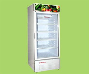Tủ mát Sanaky VH210K