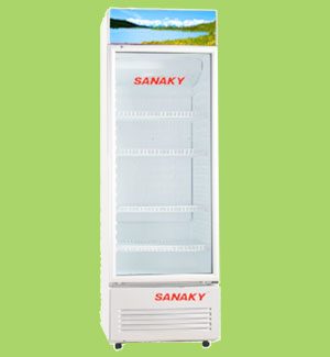 Tủ mát Sanaky VH251K