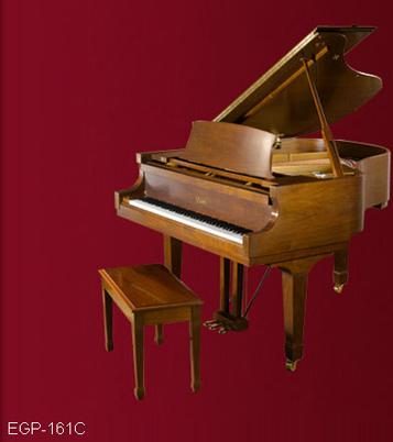 Đàn Piano Brandnew Essex EGP-161C