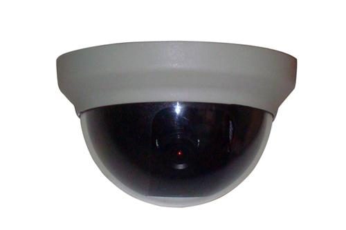 Camera Yamadenki YM-D110