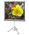Màn chiếu 3 chân Apolo 96x96 (2.4 x 2.4m)