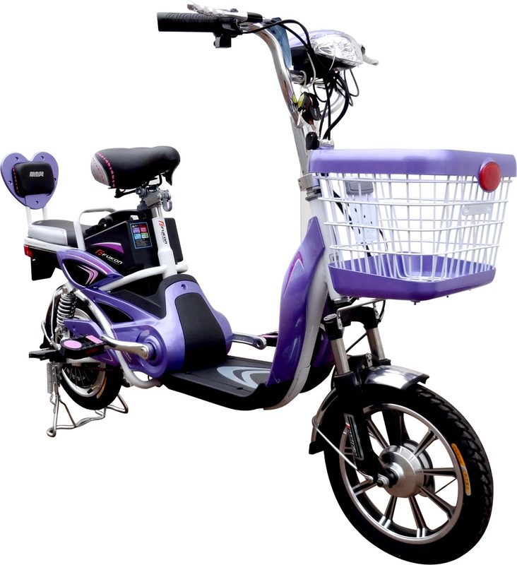 Xe đạp điện Parkson vành đúc DL-01