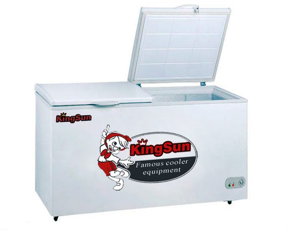 Tủ đông Kingsun KS-240DA