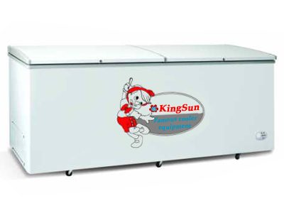 Tủ đông Kingsun KS-BDC-388