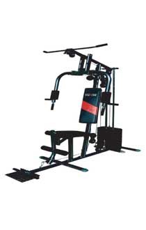 Giàn tạ đơn 1 người tập 1503B