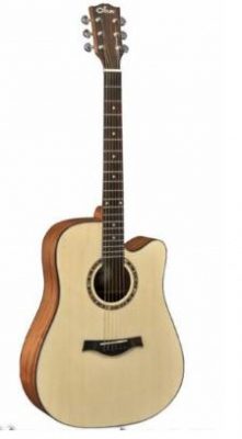 Dove Acousic Guitar DD-12C