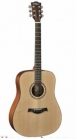 Dove Acousic Guitar DD-22
