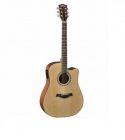 Dove Acousic Guitar DD-22CE