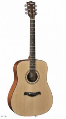 Dove Acousic Guitar DD-22C