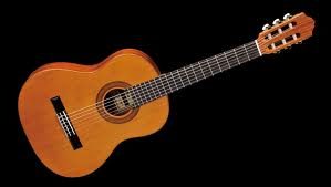 Famosa Classic Guitar FC20C