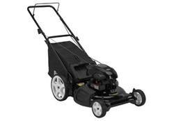 Máy cắt cỏ Poulan TEP-802-0130