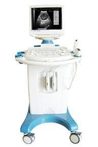 Máy siêu âm bàn đẩy 2D Chison 600A