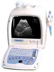 Máy siêu âm đen trắng xách tay Emperor EMP-860