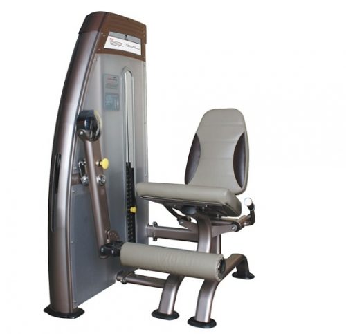 Máy tập cơ chân sau 9009