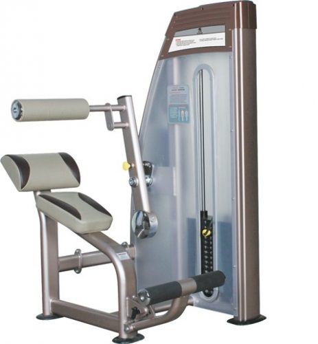 Máy tập cơ lưng, bụng 9010