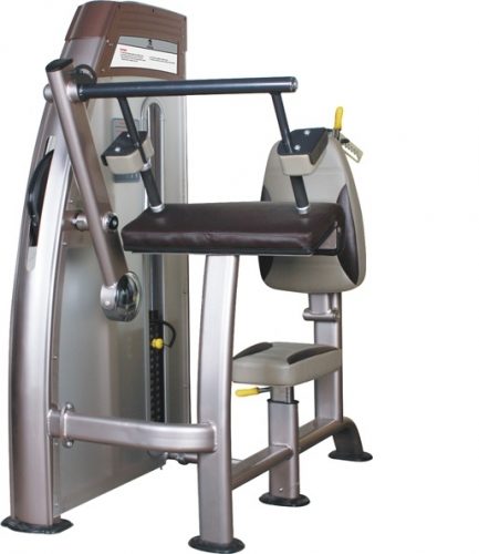 Máy tập tay sau 9002