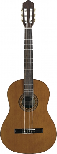 Guitar Classic Stagg C548