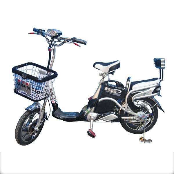 Xe đạp điện Honda 113