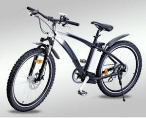 Xe đạp điện Chinsu TDF110Z 250W