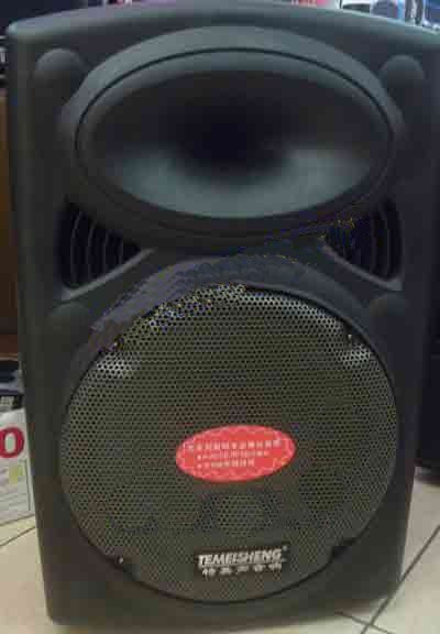 Máy Trợ Giảng Teimeisheng DP 131