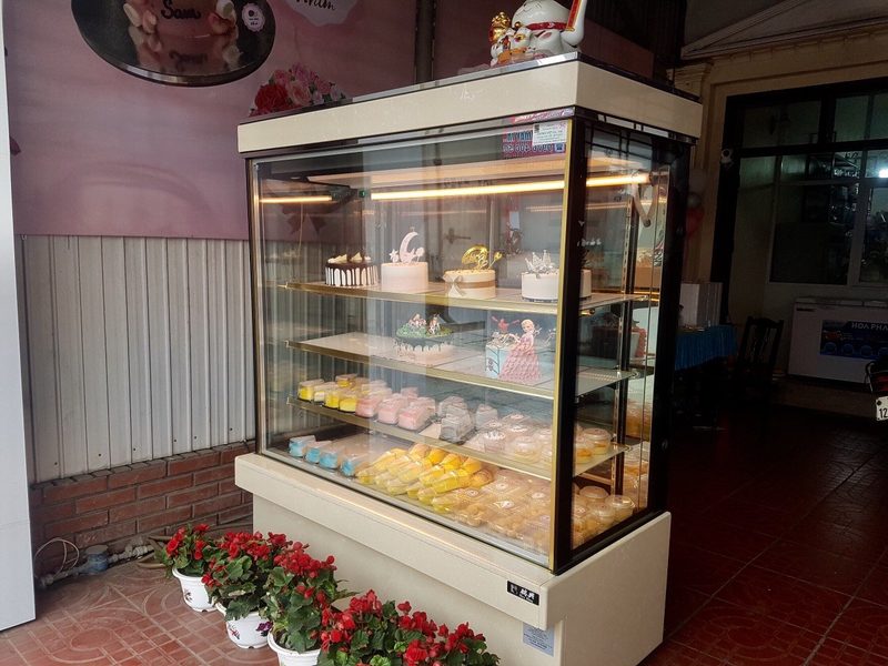 Tủ mát trưng bày kính đứng RueyShing RS-C1005S