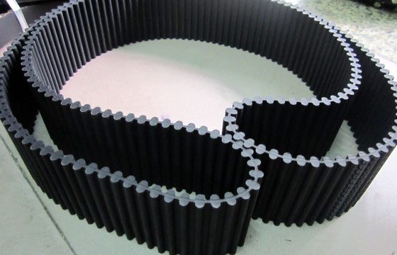 Đai răng 2 mặt D5M, D8M