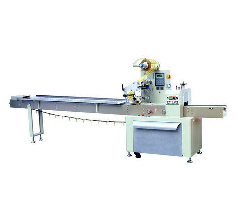 Máy đóng gói nằm 1 dao ZW 100E