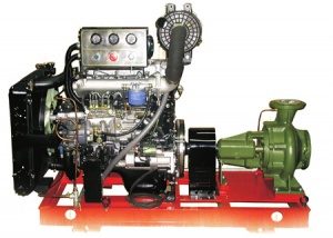 Máy bơm chữa cháy Hyundai CA80