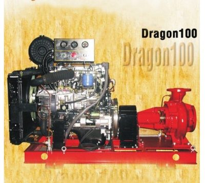 Máy bơm chữa cháy Hyundai Dragon100