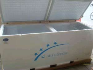 Tủ đông lạnh Towashi BD/C-510