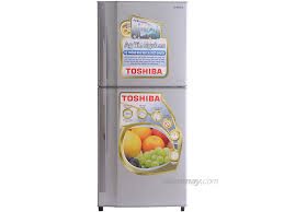 Tủ lạnh Toshiba 19VPP