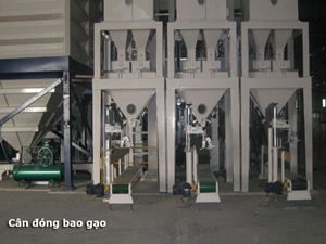 Cân đóng bao gạo