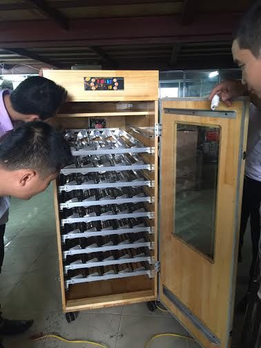Máy ấp trứng đảo tay 2000DT
