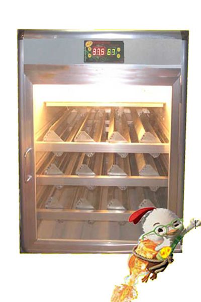 Máy ấp trứng đảo tự động 300TD