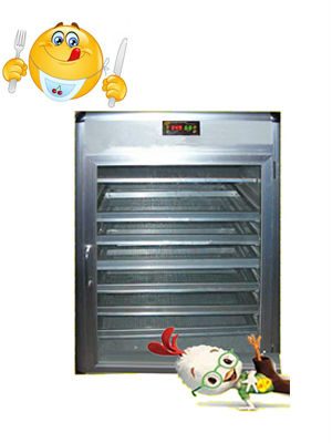 Máy ấp trứng đảo tay 500T