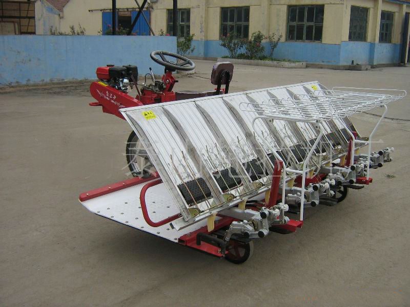 Máy cấy lúa 8 hàng 2Z-8238BG