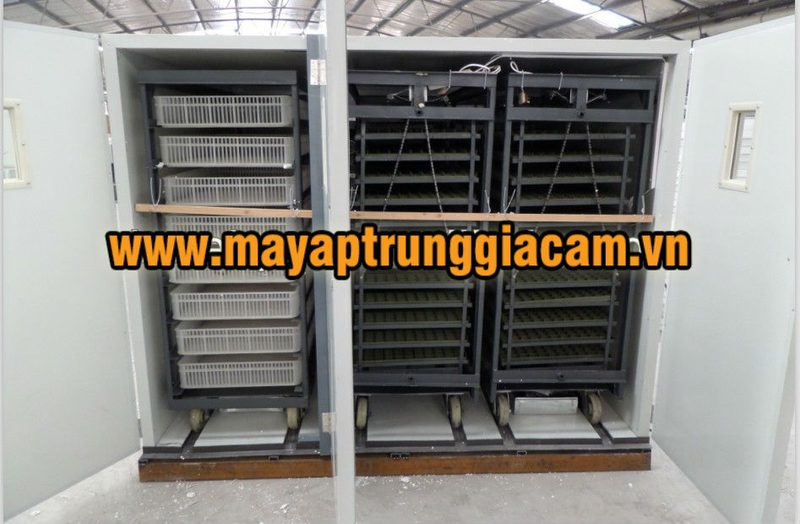 MÁY ẤP TRỨNG NHẬP KHẨU KN-12672