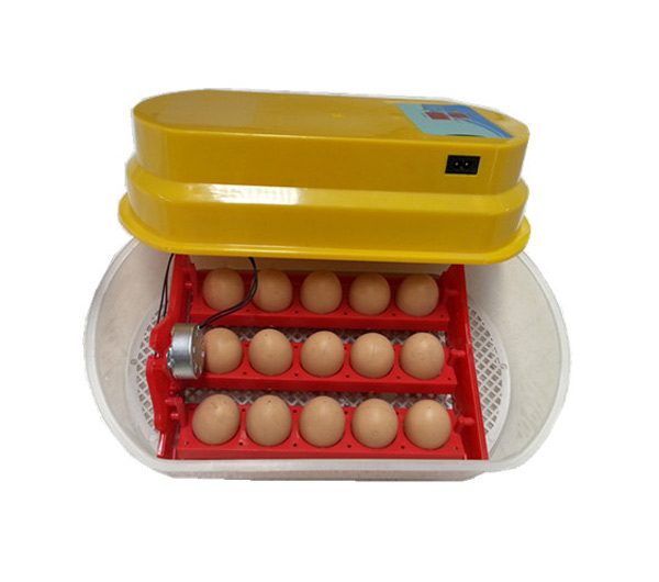 MÁY ẤP TRỨNG NHẬP KHẨU KN-15