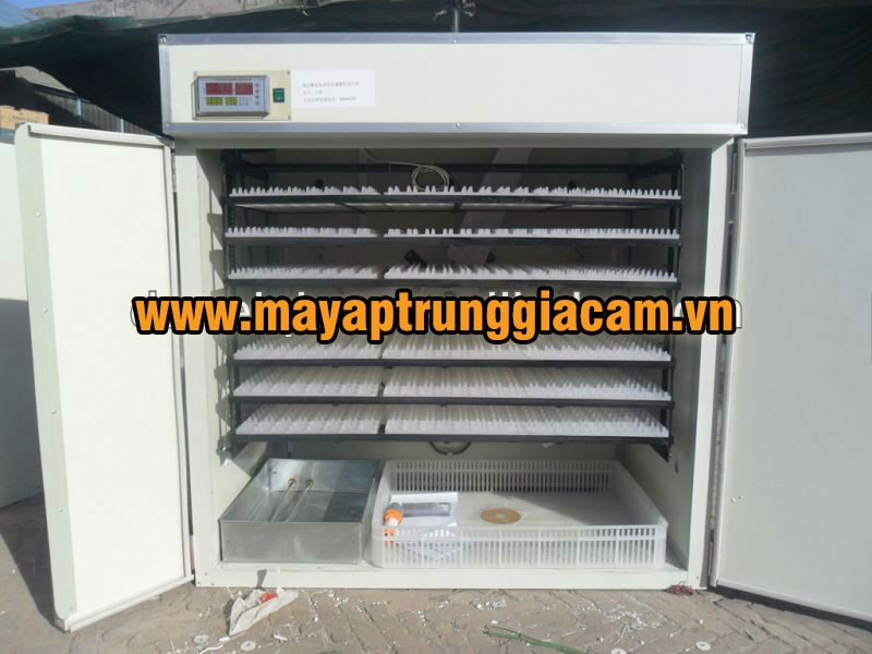 MÁY ẤP TRỨNG NHẬP KHẨU KN-1584